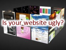 Ugly Website white